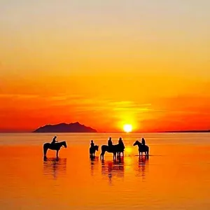 Sunrise Stagnone Bed & Breakfast